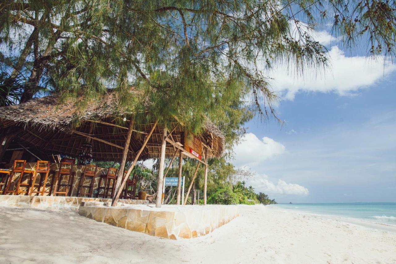 Cast Away Residence Kiwengwa  Ngoại thất bức ảnh